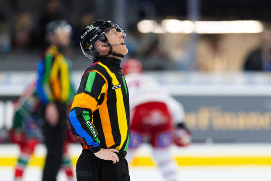 Domare Mikael Holm