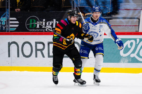 Skellefteås Rickard Hugg och Leksands Olle Alsing