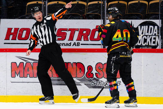 Domare Tobias Björk och Skellefteås Anton Heikkinen