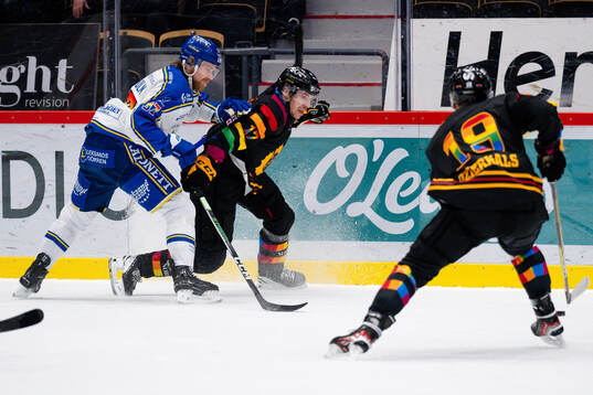 Leksands Anton Lindholm och Skellefteås Pär Lindholm