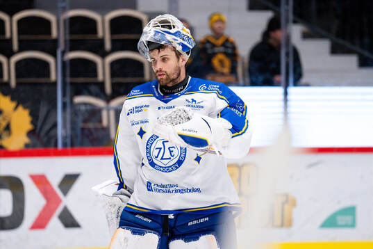 Leksands målvakt Mantas Armalis