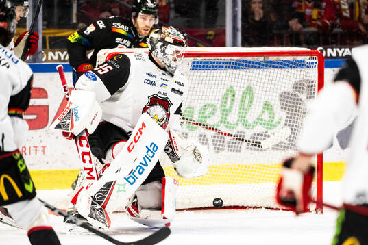 Malmö Redhawks Adam Werner deppar
