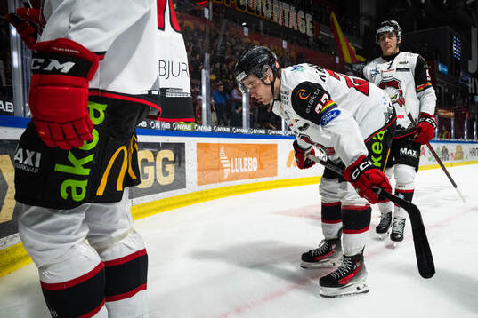Malmö Redhawks Janne Kuokkanen deppar