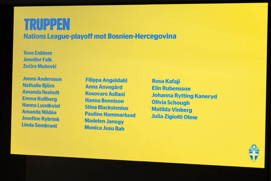 Sveriges förbundskapten Peter Gerhardsson