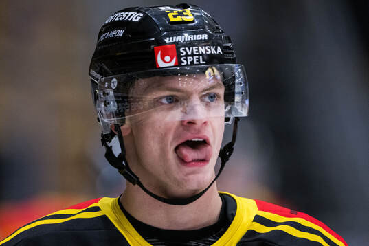 Västerås Adam Hofbauer