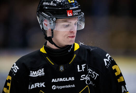 Västerås Adam Hofbauer deppar