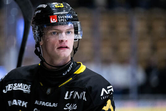 Västerås Adam Hofbauer deppar