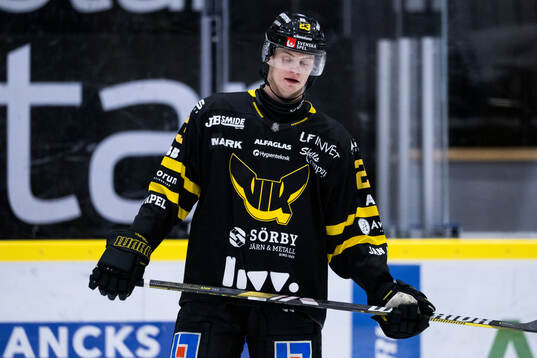 Västerås Adam Hofbauer deppar