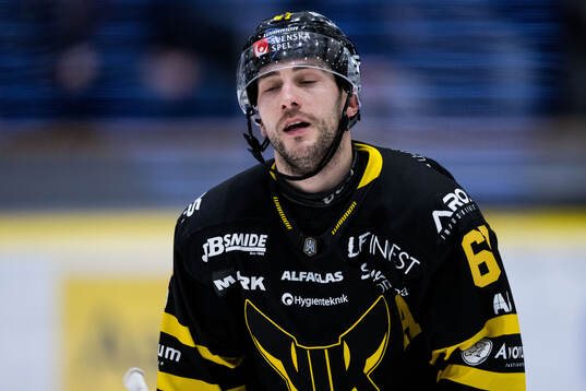Västerås Konstantin Komarek