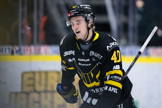 Västerås Isak Skedung