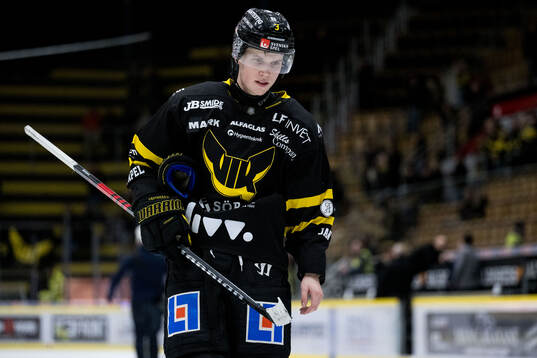 Västerås Ludvig Östman deppar