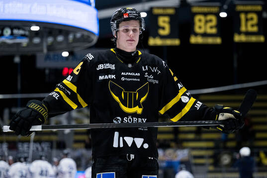Västerås Elias Pettersson