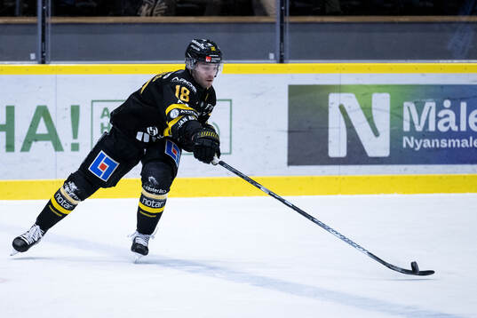 Västerås Shane Gersich