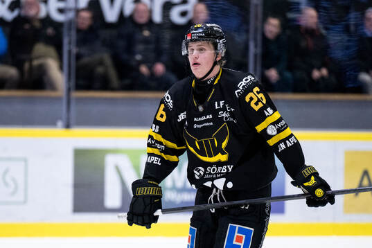 Västerås Elias Pettersson deppar