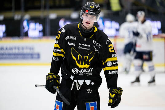 Västerås Adam Hofbauer deppar