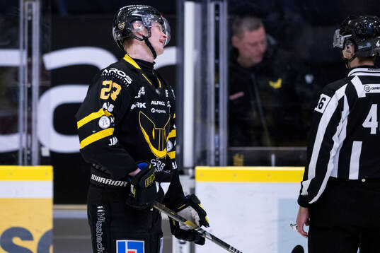 Västerås Adam Hofbauer reagerar på domslut