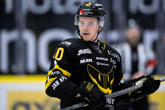 Västerås Isak Skedung