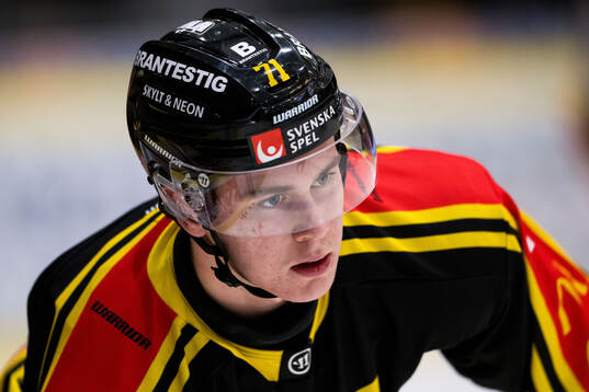 Västerås Herman Träff
