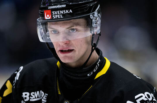 Västerås Adam Hofbauer