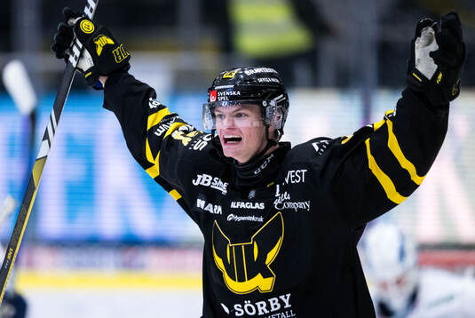Västerås Adam Hofbauer jublar