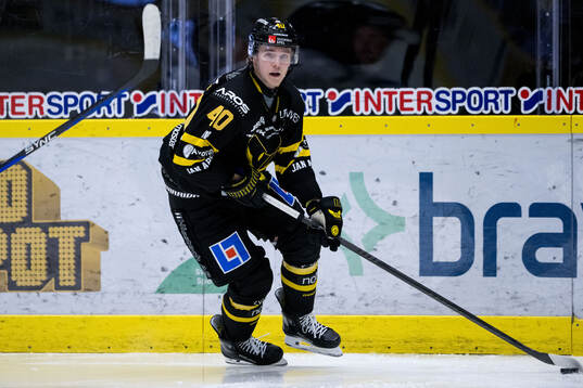 Västerås Isak Skedung