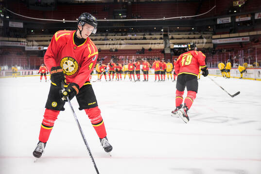 Brynäs Theo Lindstein