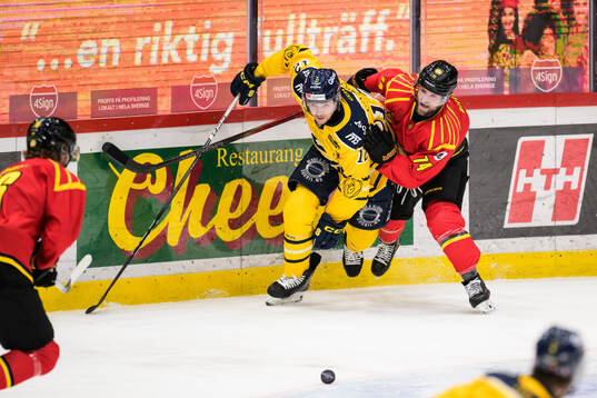 Södertäljes Viktor Liljegren och Brynäs Linus Lindblom