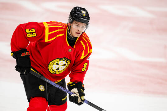 Brynäs Simon Robertsson