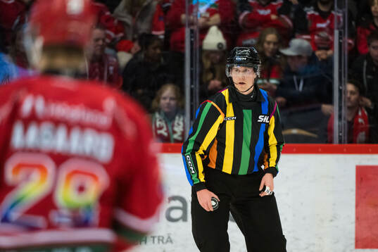 Linjedomare Niclas Westman