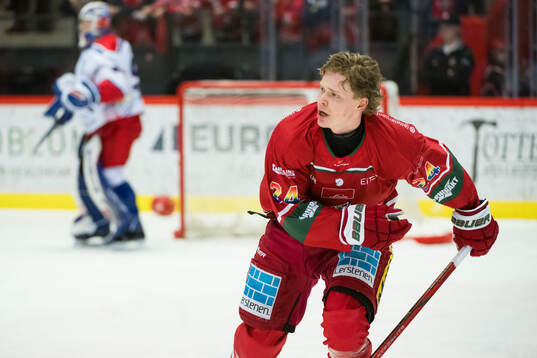 Erik Walli Walterholm