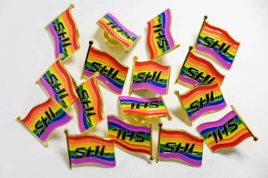 Pins med prideflaggan