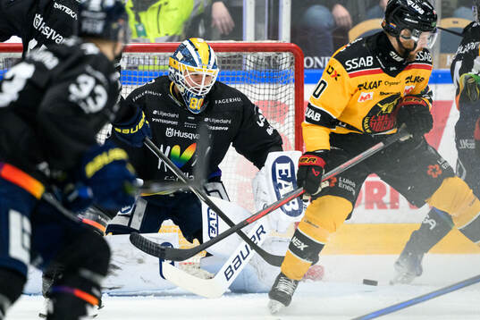 HV71s målvakt Frederik Dichow