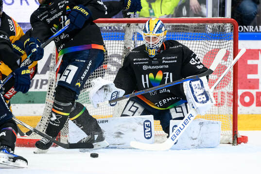 HV71s målvakt Frederik Dichow