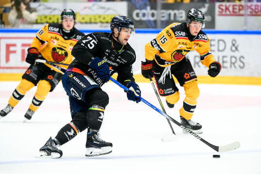 HV71s Radan Lenc