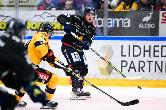 HV71s Robert Nardella