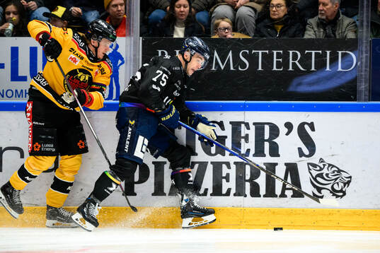 HV71s Radan Lenc