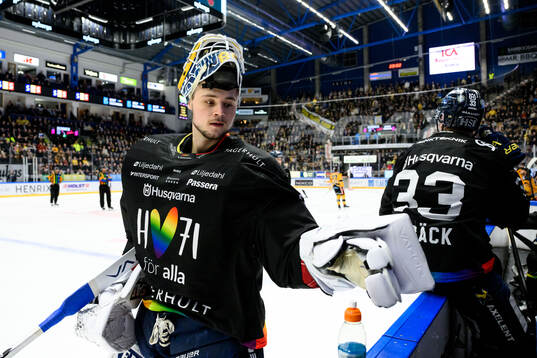HV71s målvakt Frederik Dichow