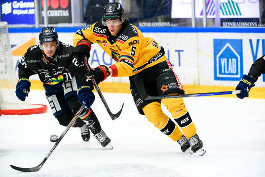 HV71s André Petersson och Luleås Marcus Hardegård