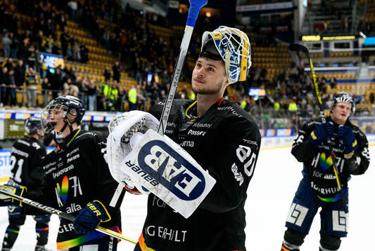 HV71s målvakt Frederik Dichow jublar