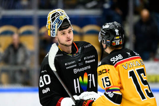 HV71s målvakt Frederik Dichow
