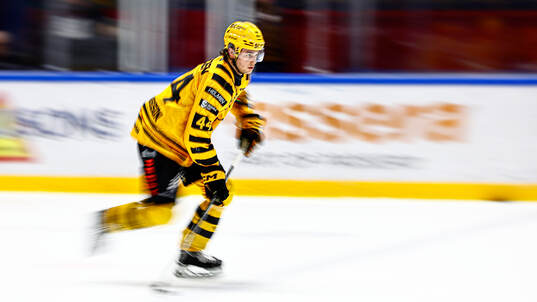 Skellefteås Elias Salomonsson