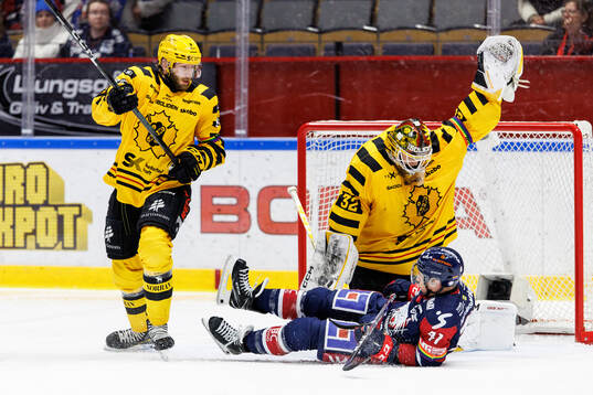 Bläddra bland fler bilder av Ishockey, SHL, Linköping - Skellefteå