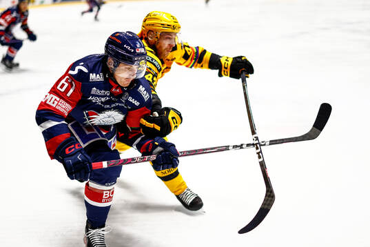 Linköpings Markus Ljungh