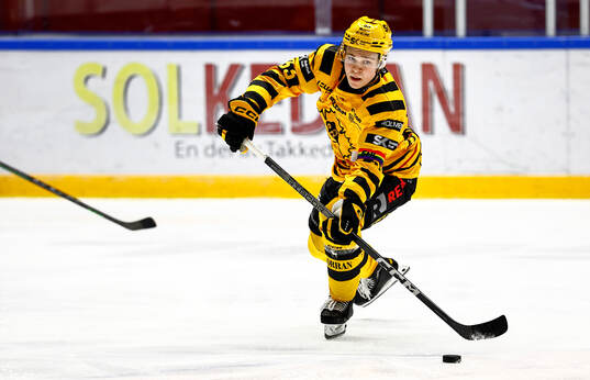 Skellefteås Zeb Forsfjäll
