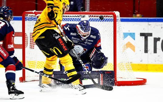 Linköpings målvakt Marcus Högberg