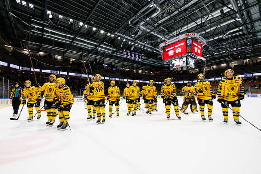Skellefteås spelare jublar