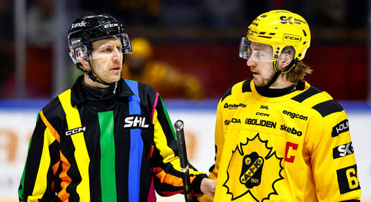 Linjedomare och Skellefteås Jonathan Pudas