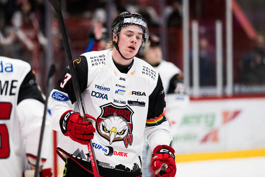 Malmö Redhawks Nuutti Viitasalo