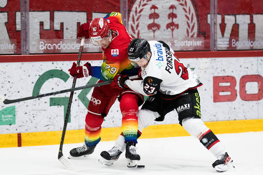 Timrås Filip Hållander och Malmö Redhawks Christoffer