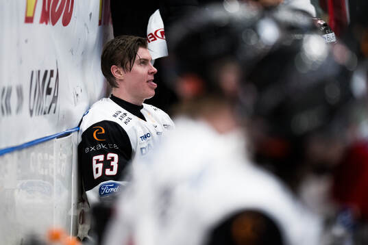 Malmö Redhawks Fredrik Händemark deppar